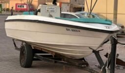 Boats Cruiser 2009