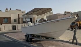 Boats Cruiser 2022