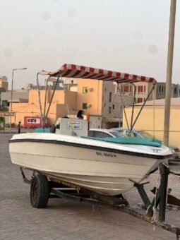 Boats American cruiser 17 feet 2009 full
