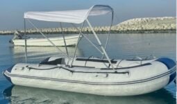 Boats Zodiac 2020