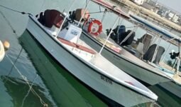 Boats Cruiser 2004