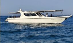 Boats Sea Master 2012
