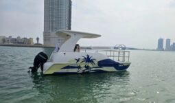 Boats American catamaran 2020 full