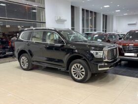 Haval H 9 2025
