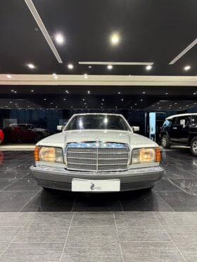 Mercedes-Benz SE300 Model 1990